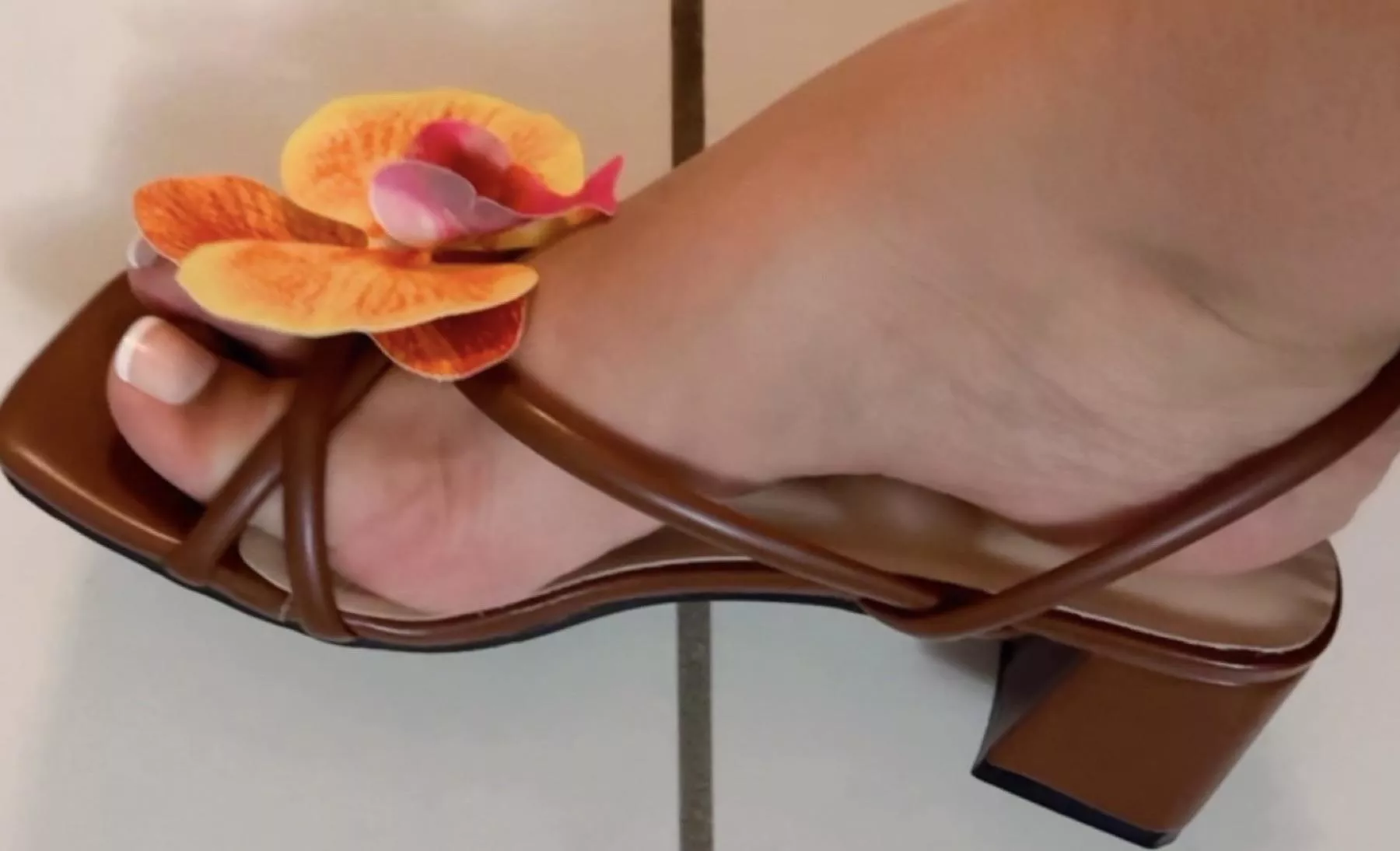 I’m from a tropical place so it’s basically summer all the time 🌺 