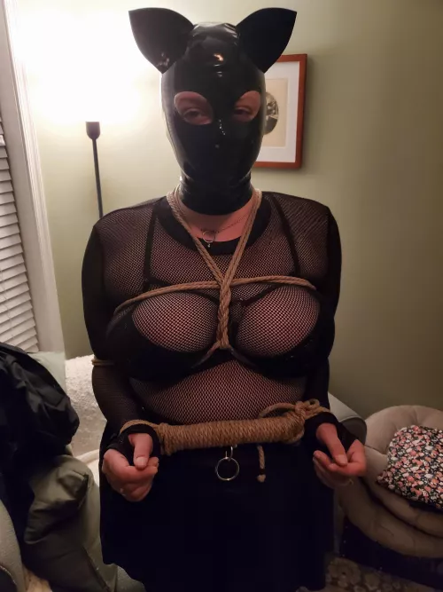 [OC] GF Hooded Kitten