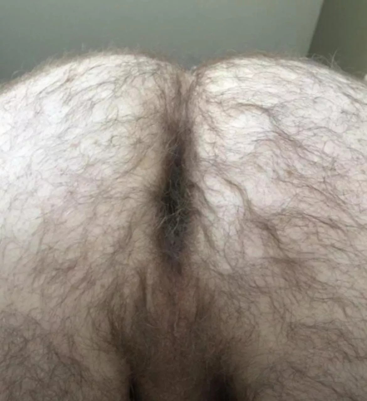 Anyone into musky hairy daddy ass?
