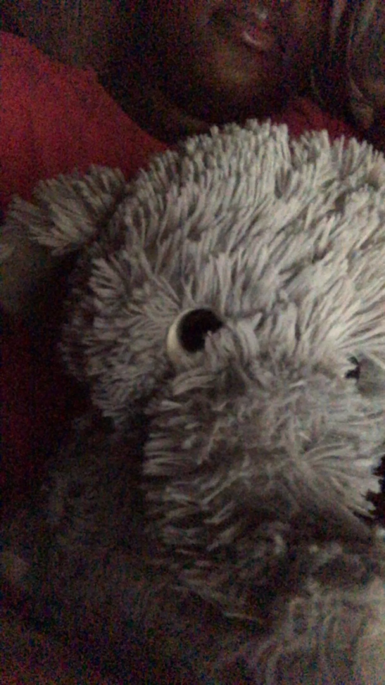 Goodmorning👋🏾✨