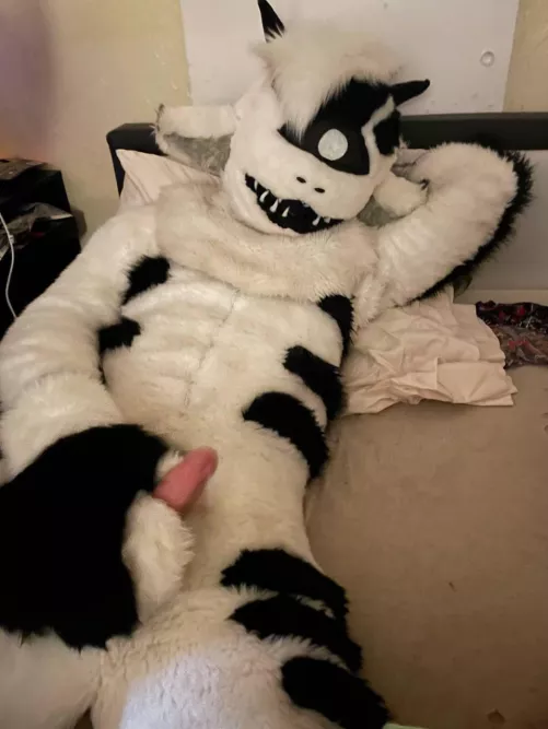 Like What You See? I do. 👁️