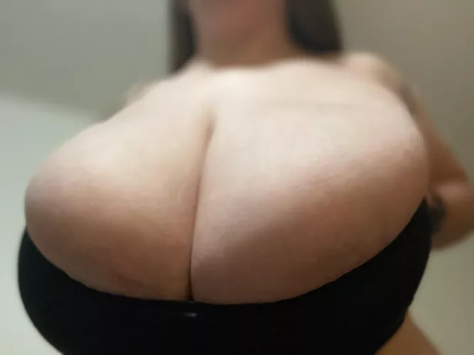 My arms are sore from holding them