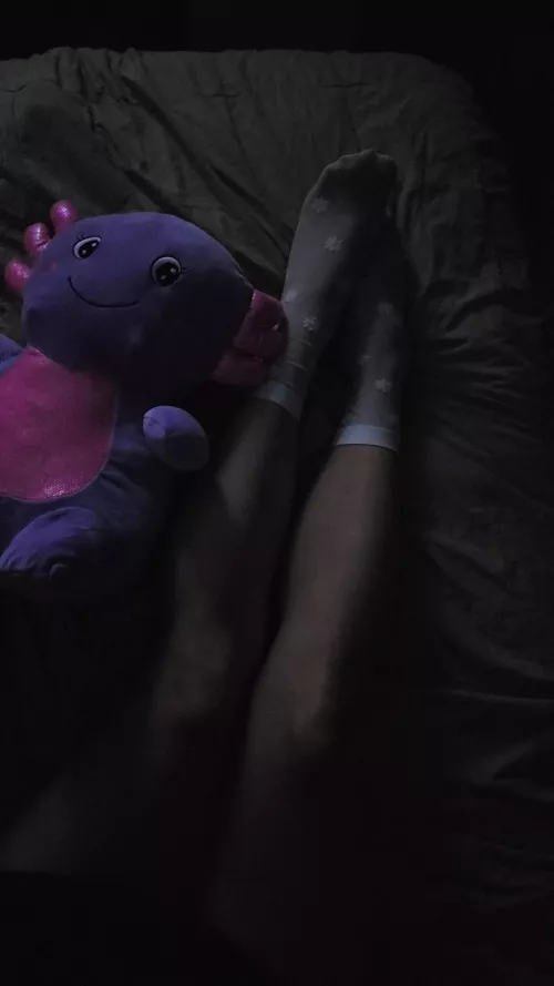 my new friend needs a name 👉👈