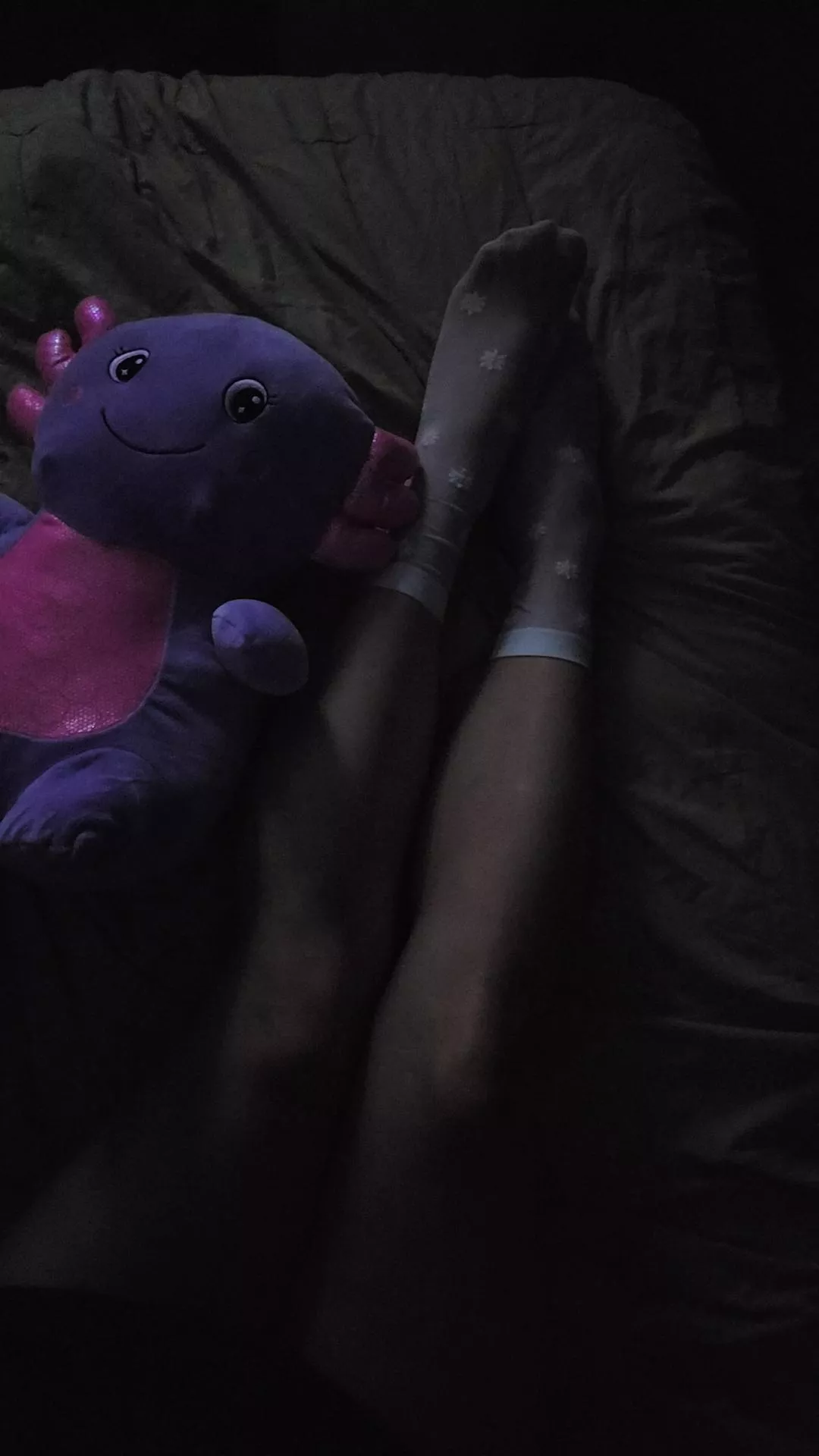 my new friend needs a name 👉👈