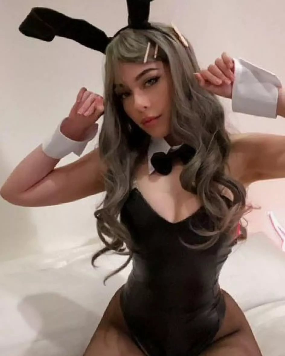 Naughty bunny ready to pounce on you