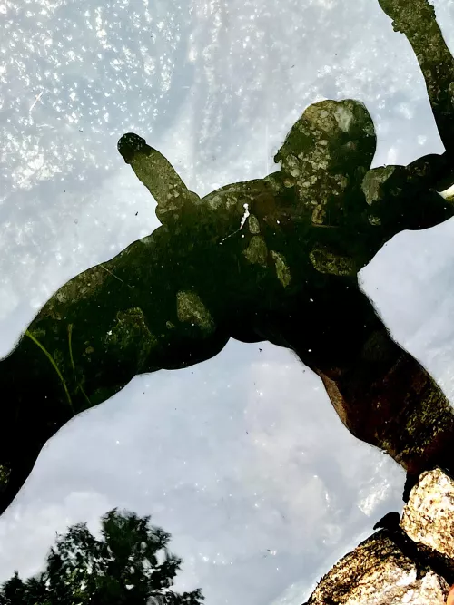 Something to reflect on 