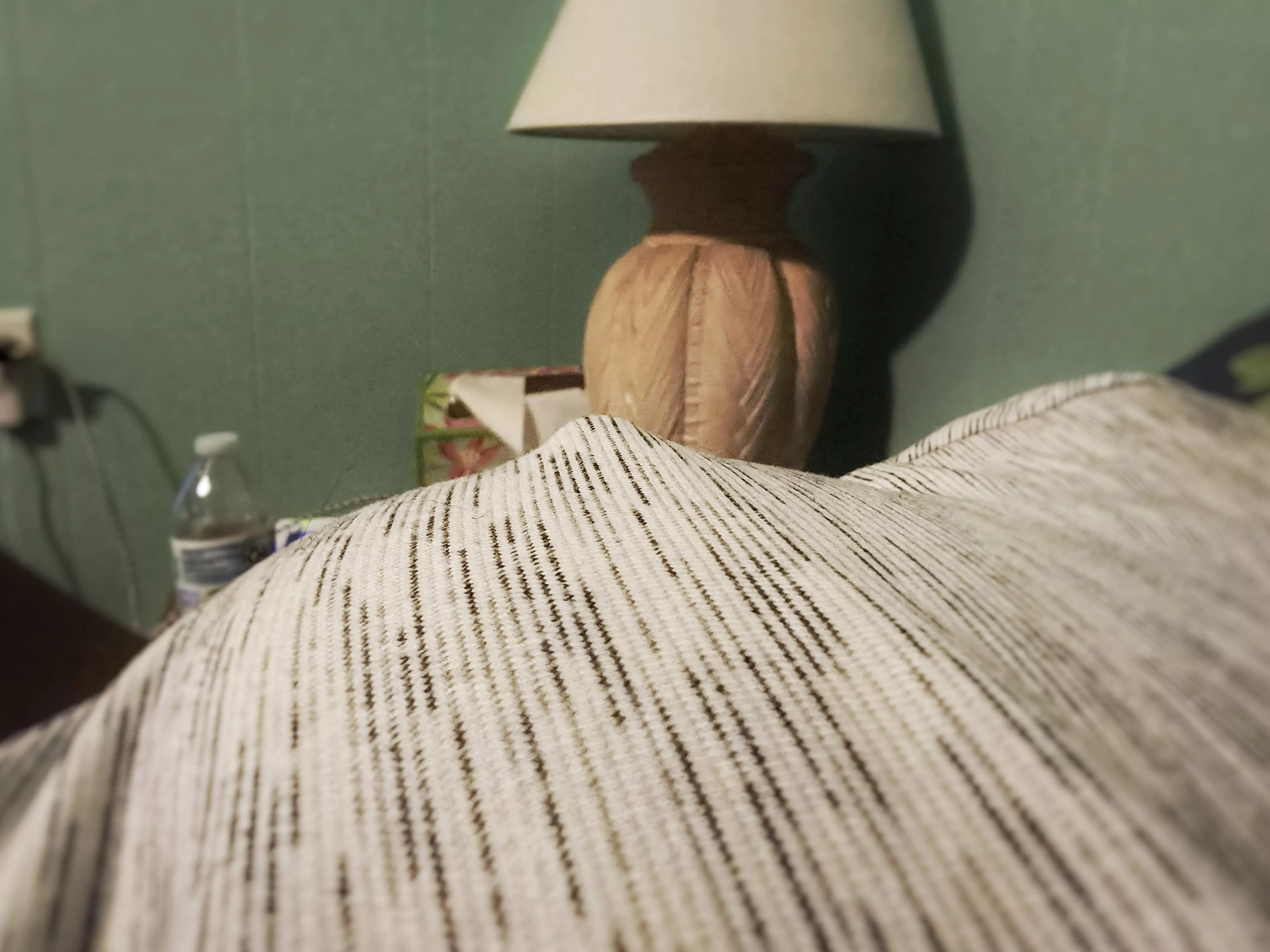 A thin top and perky pokie. Perfect combination 