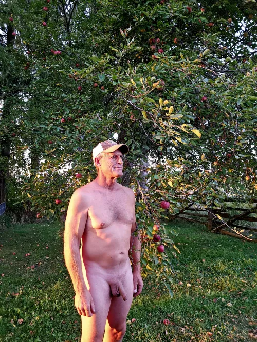 Enjoying a great evening walking in the orchard 