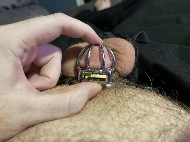 Gearing up for Locktober, been a while since I’ve done an extensive lock. 