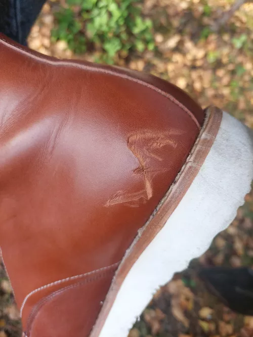 How bad is this damage? 