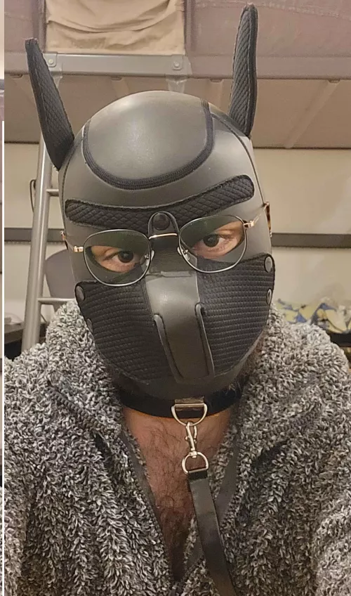 I like the glasses, I think it fits me well