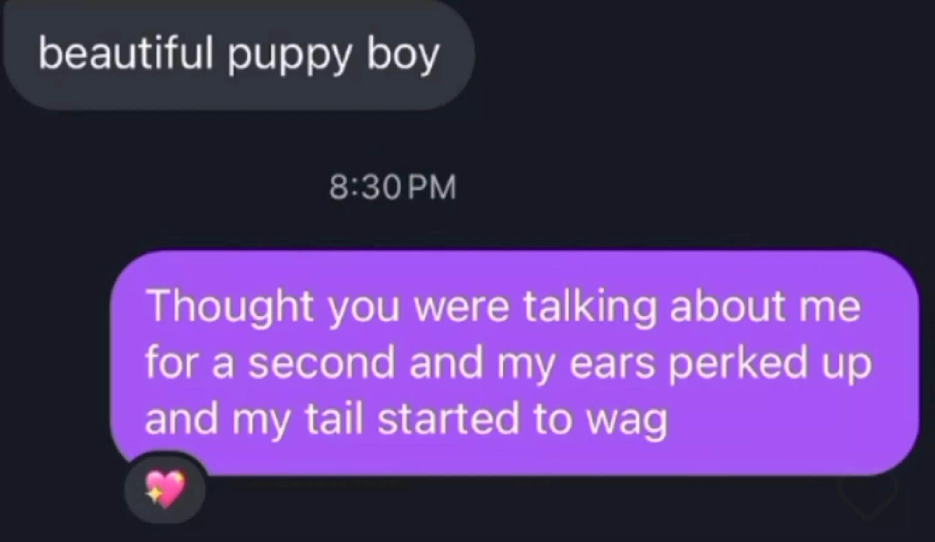 I'm just a (puppy) boy 🎀