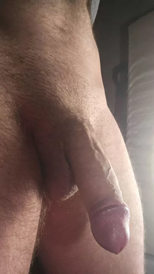 Longing to stretch (23) 