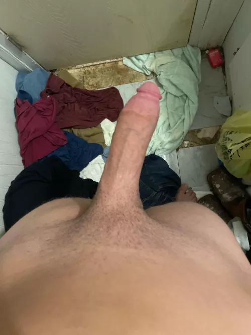 You love this fat cock 19