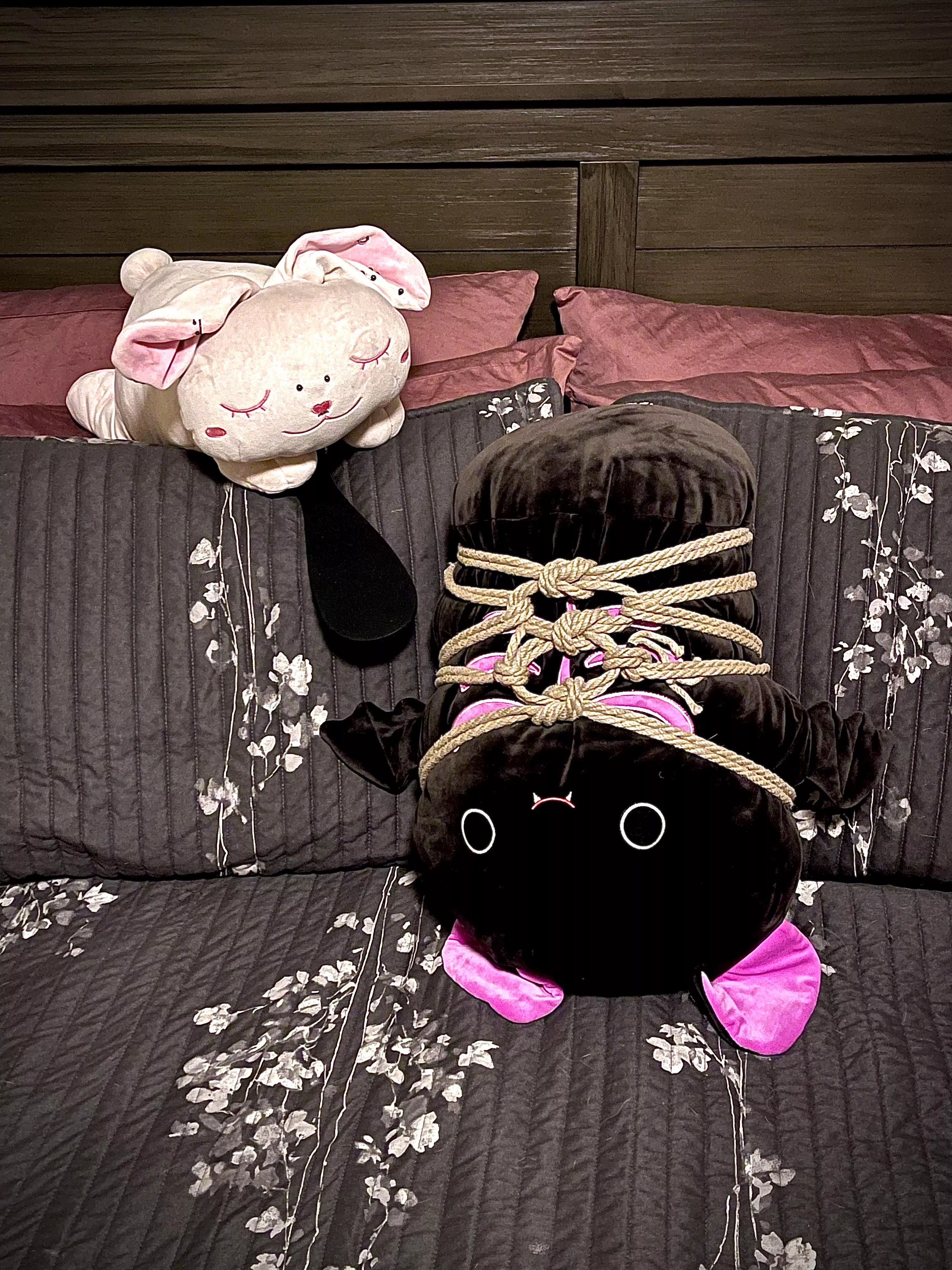 Bun wanted to be the rigger today so they invited a friend