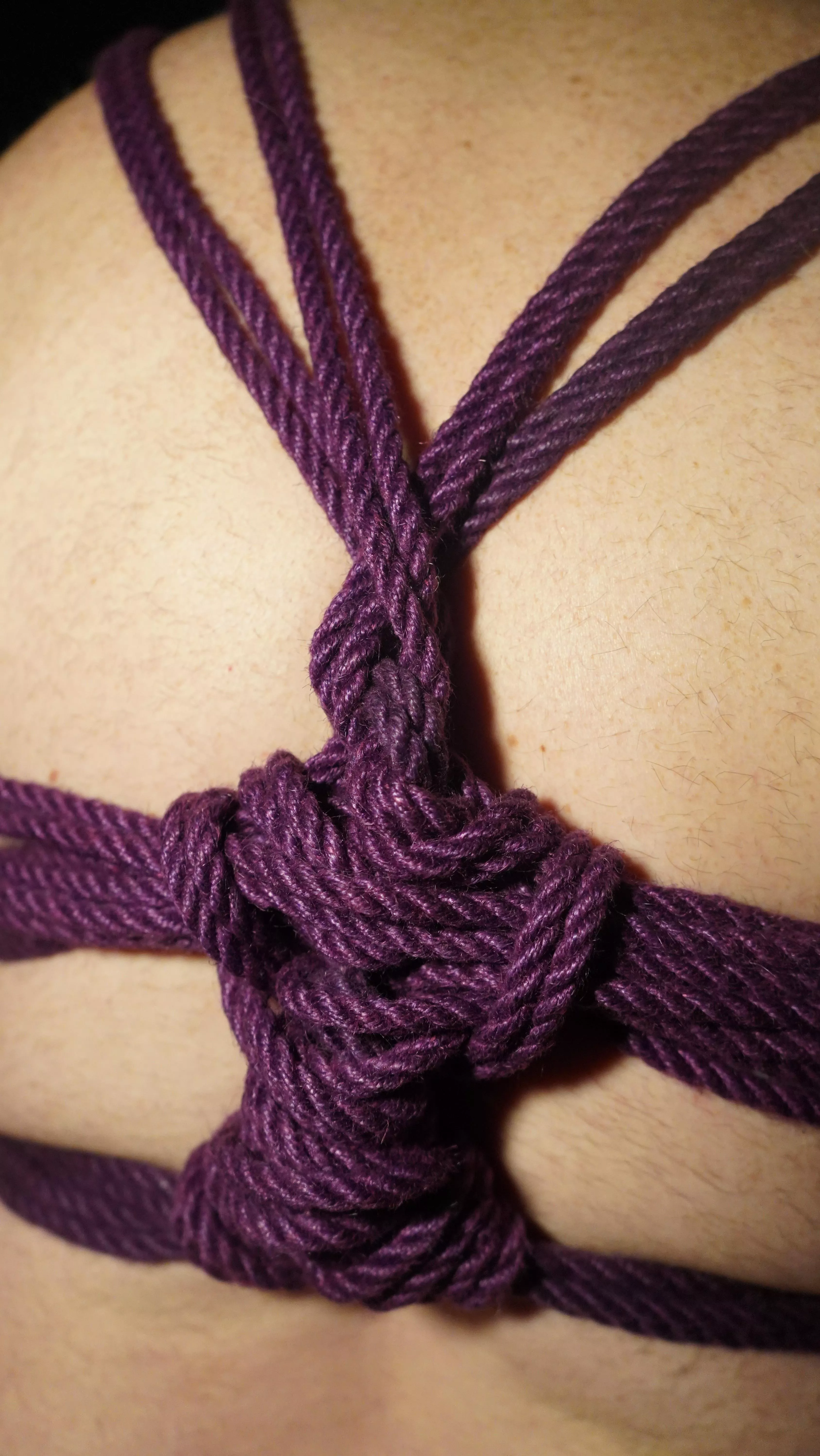 Compressed stem, working to memorize the weavings on Butterfly Harness