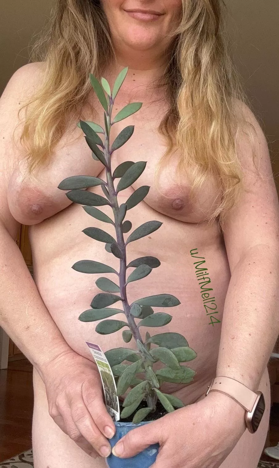 Do you like my succulent? 
