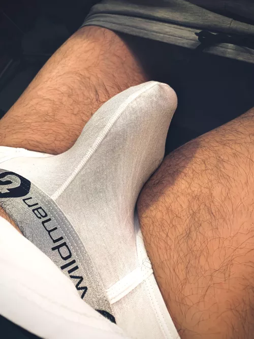 I love the outline of my cock in wildman T brief