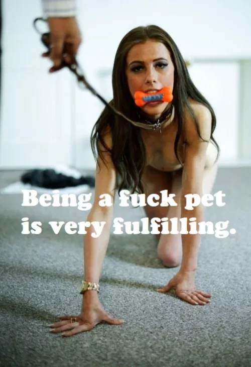 Put yourself to good use and become a sissy fuck pet for real men. 