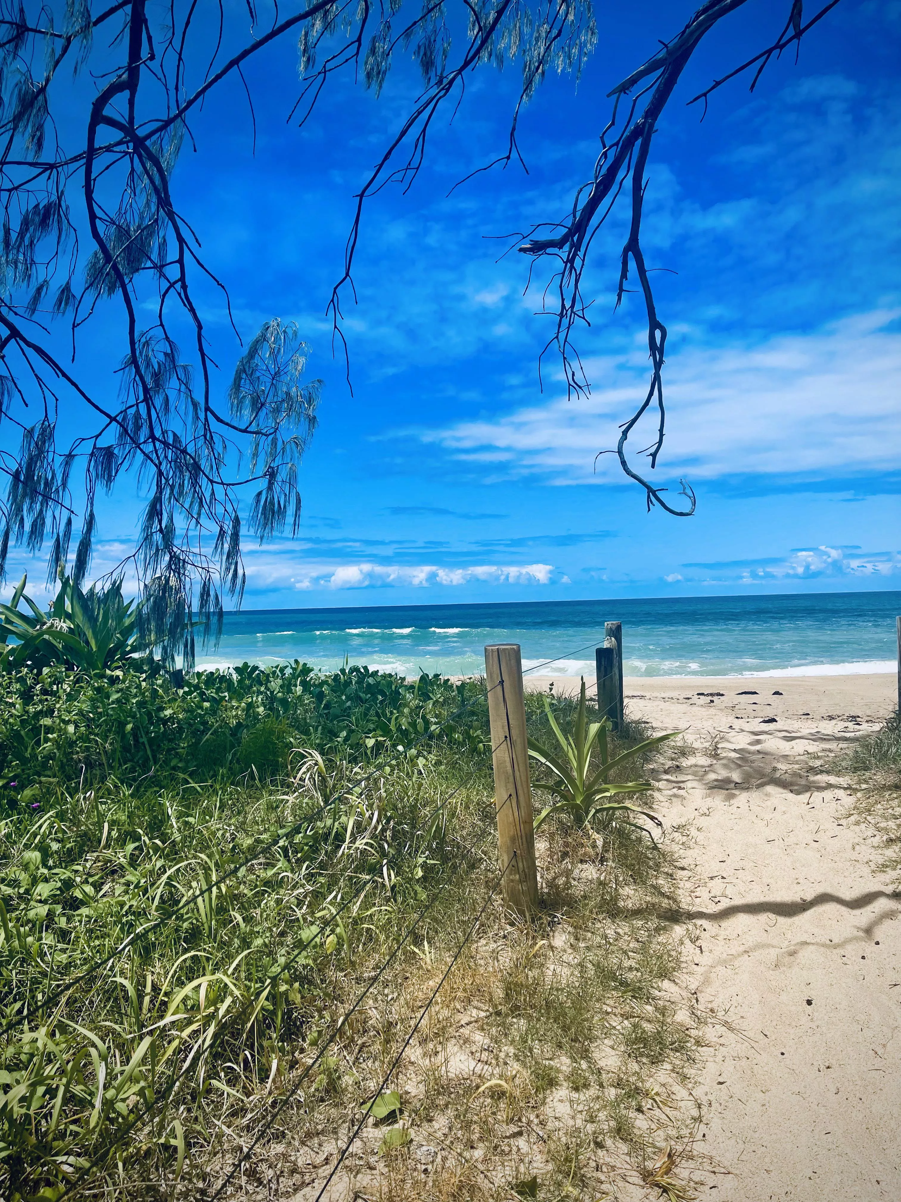 Sapphire Beach, Coffs Harbour, Australia 🇦🇺 
