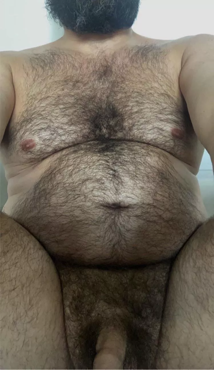 (41) Always looking for other stocky hairy 🐻 buddies to have some fun with. DMs open (20+)