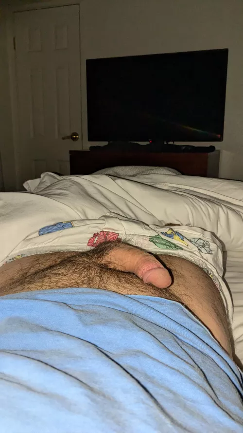 Boxers aren't the emphasis of this picture.