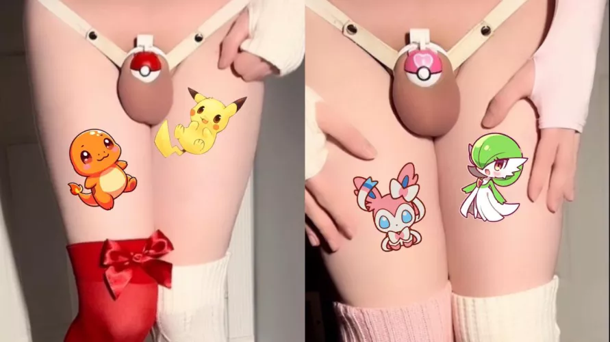 Gotta Catch Them All ππ