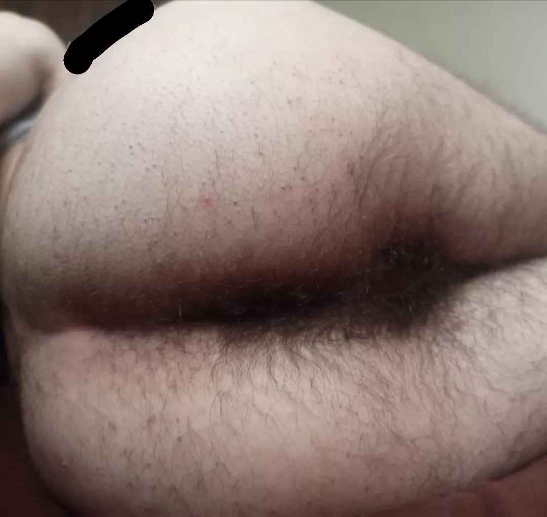 have you tried a hairy boypussy before? 