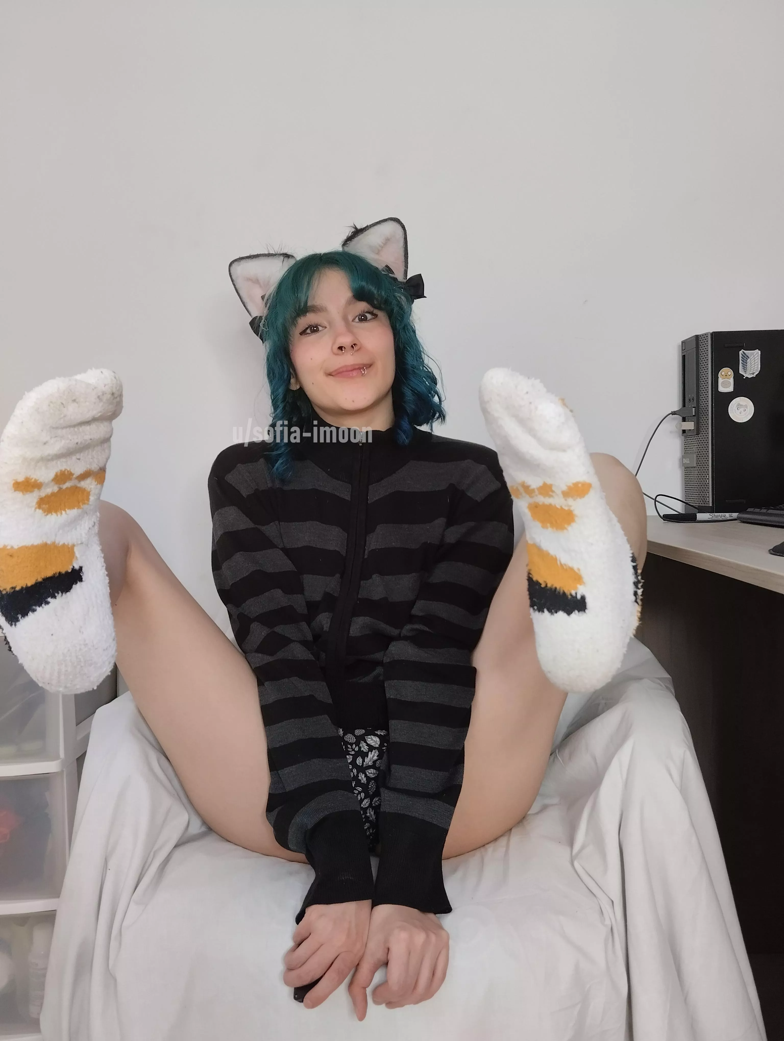 I want to play on your lap Master