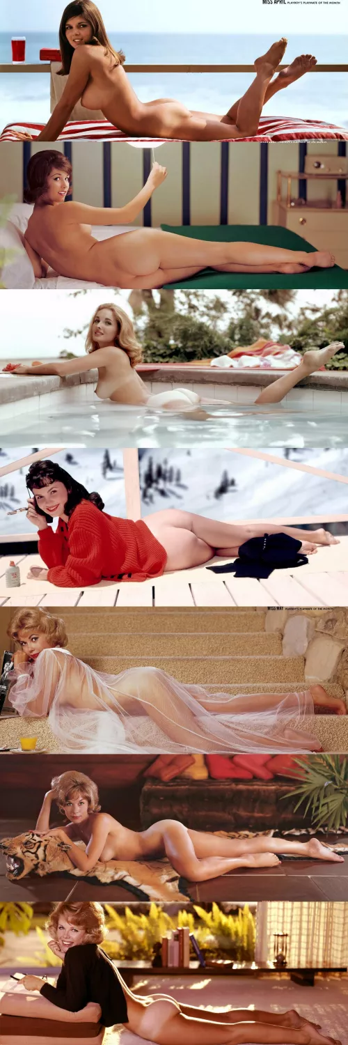 1960's Playmates horizontally ... they could represent!