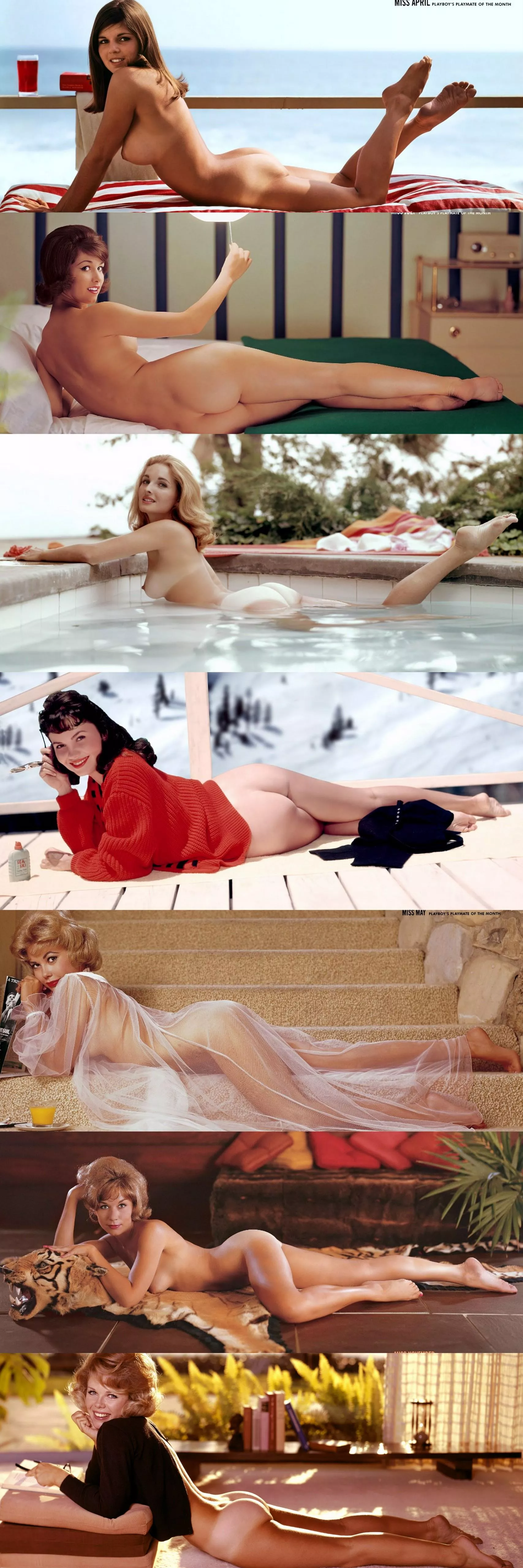 1960's Playmates horizontally ... they could represent!