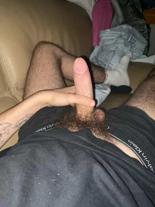 26 sc joho2611 need some hairy bros