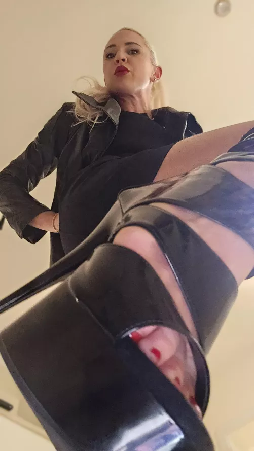 It's my job to know what my boss needs. How about you take a break first and let me be in-charge...