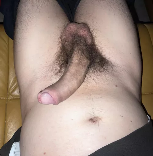 my uncut cock