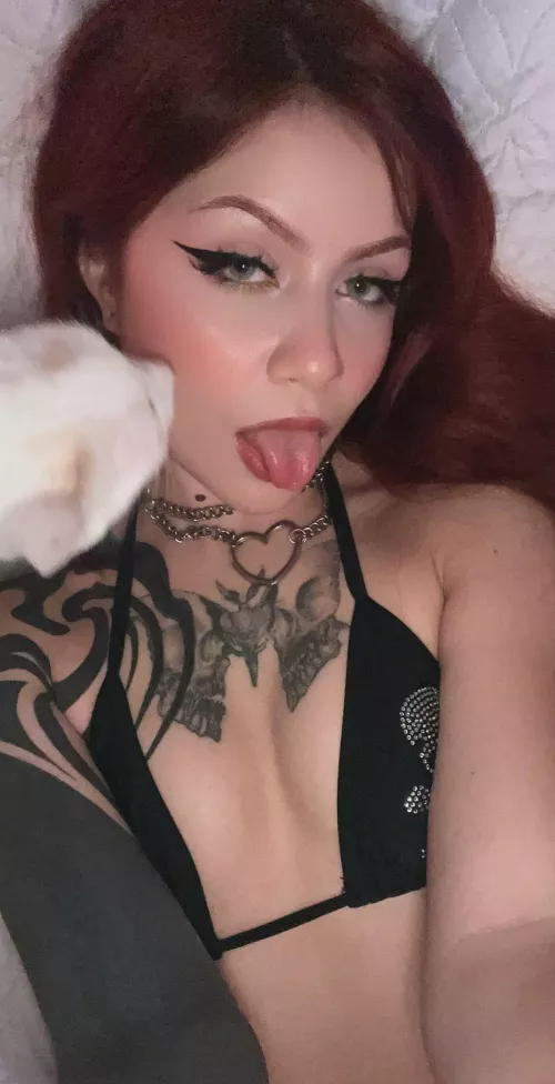 who's ur favourite band.. it'll determine if we're fucking