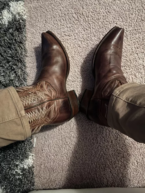 Can’t lose in these