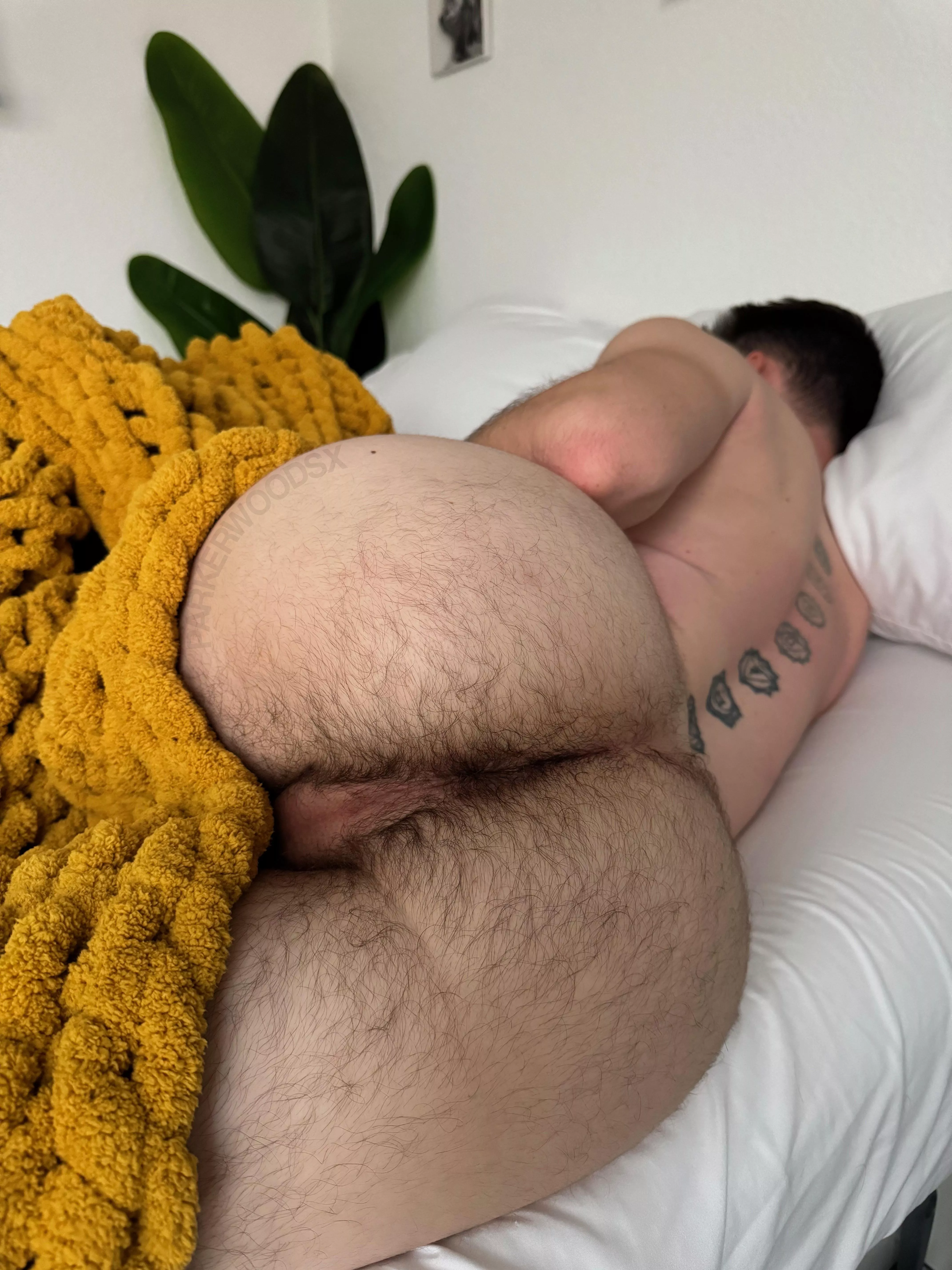 drop a 👅 if you’d eat my hairy hole 😛 