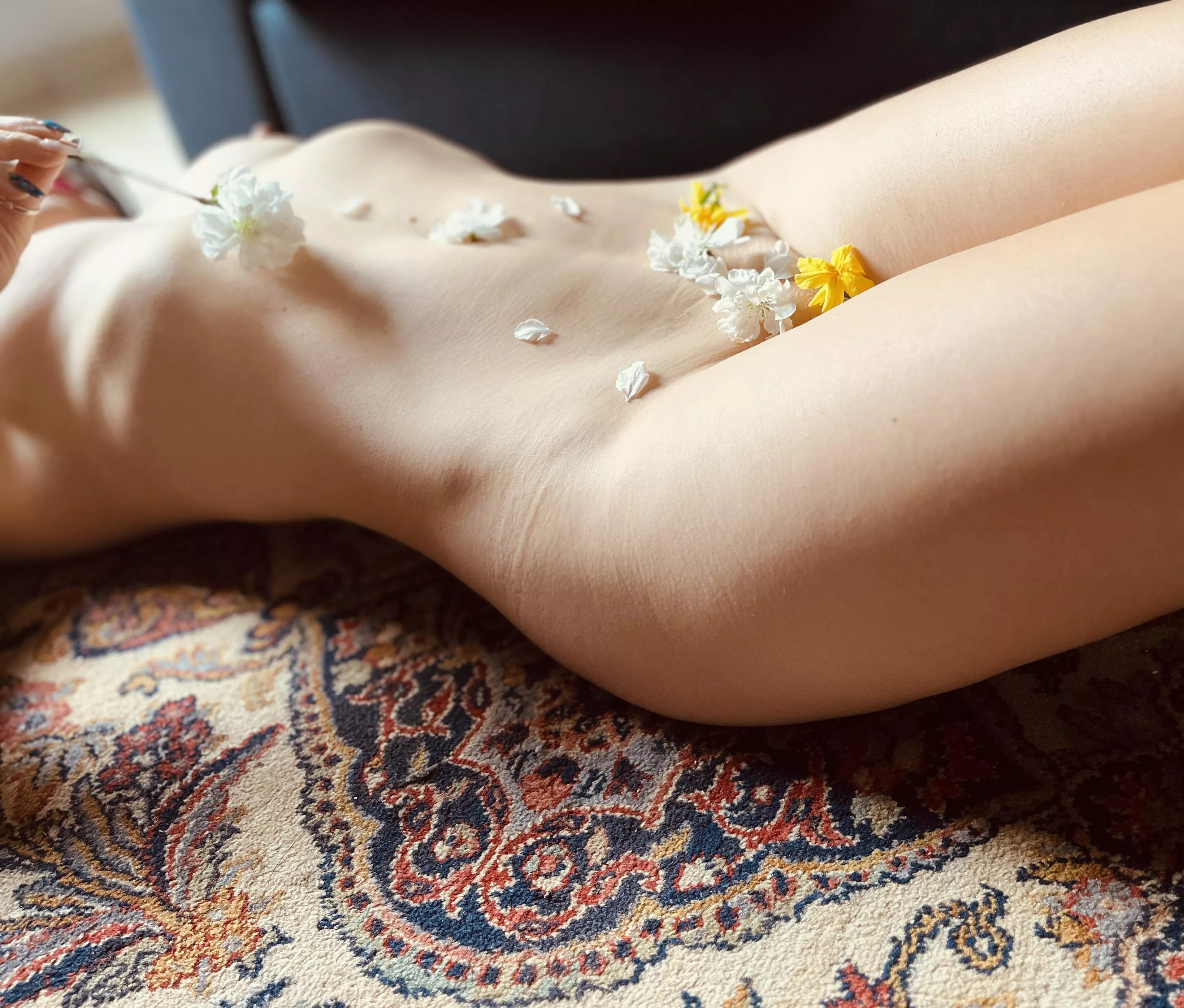 Just blow and all these petals are gone… welcome spring with me 