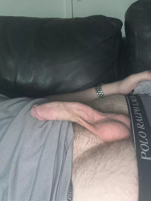 Just chillin wfh (25)