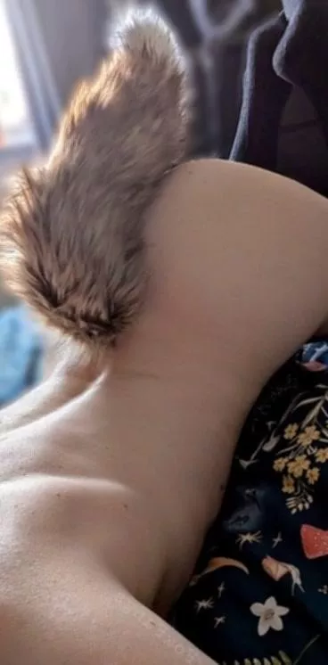 Please don't pull my tail