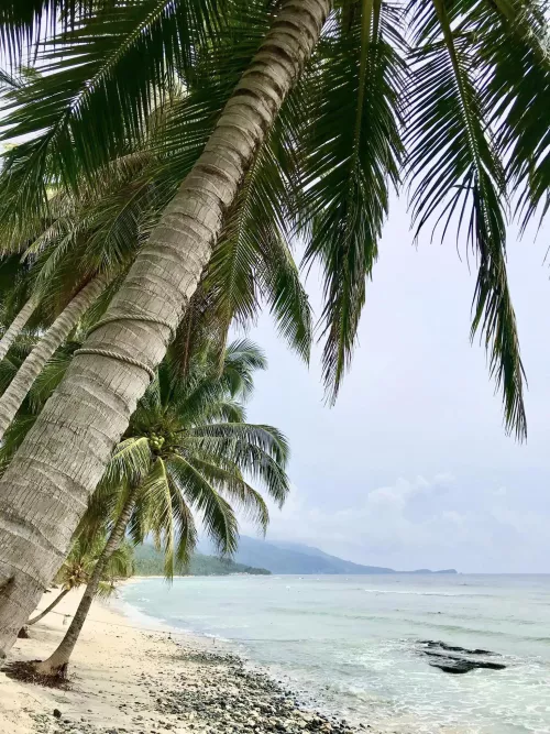 A perfect place to release the stress.