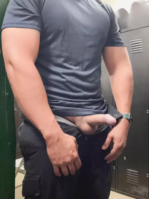 Cock ready for duty 