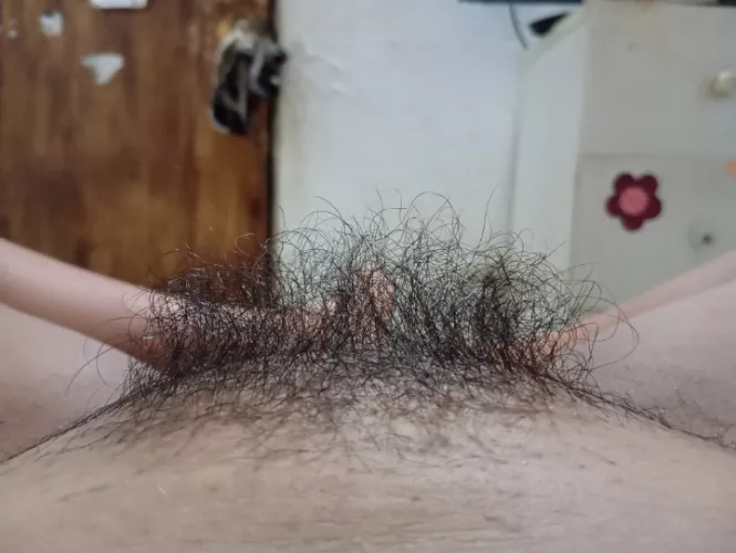 Creamy mound with bush 