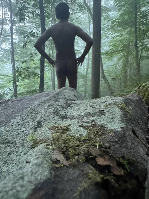 Embracing Nature in Its Purest Form 🌿🍃 | A Foggy Morning Among the Rocks