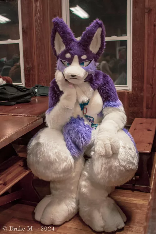 Good morning~ What ya gonna do today?