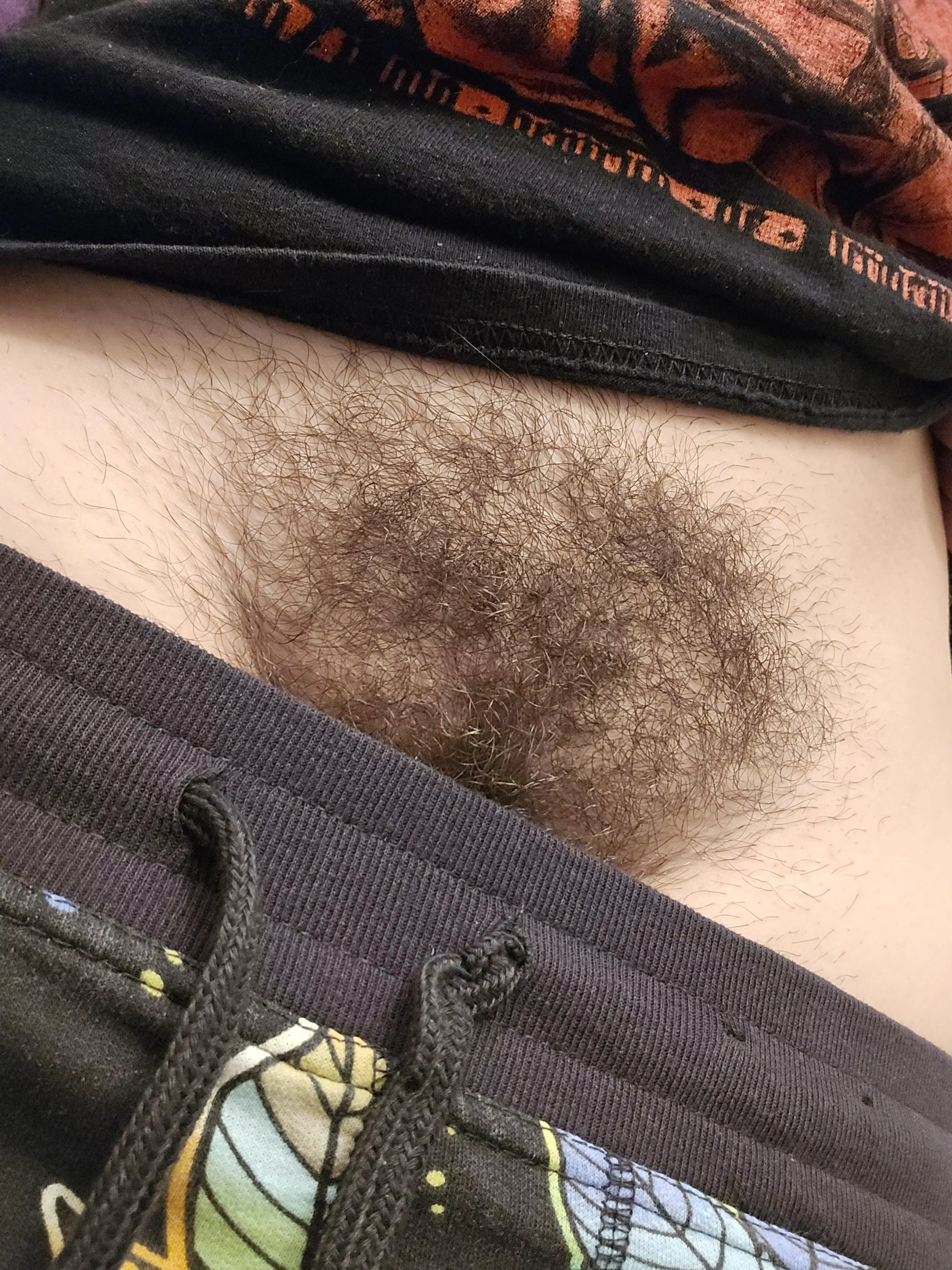 Is bigger better for bushes