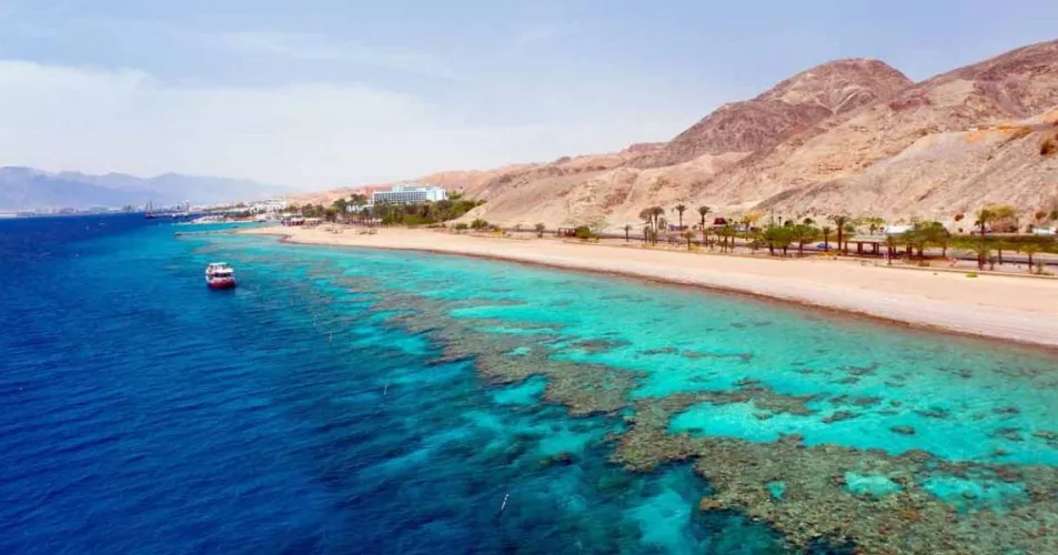 Magnificent nature in the Red Sea of ​​Egypt