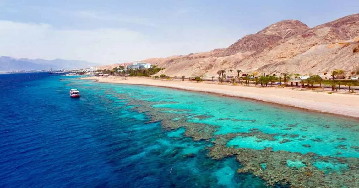 Magnificent nature in the Red Sea of ​​Egypt