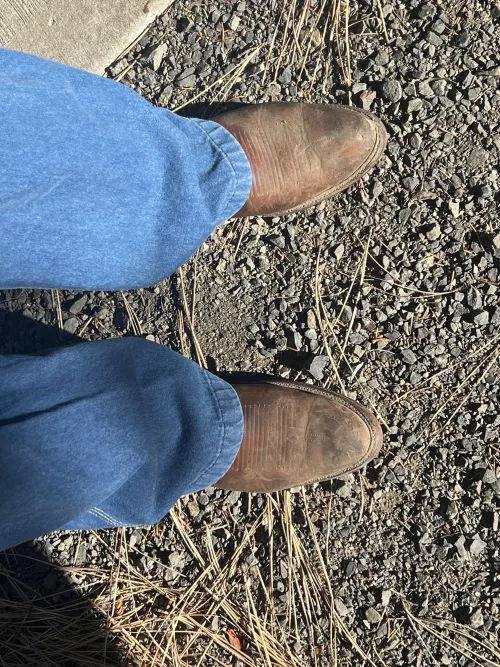 My BOTD my 4013 Lama’s