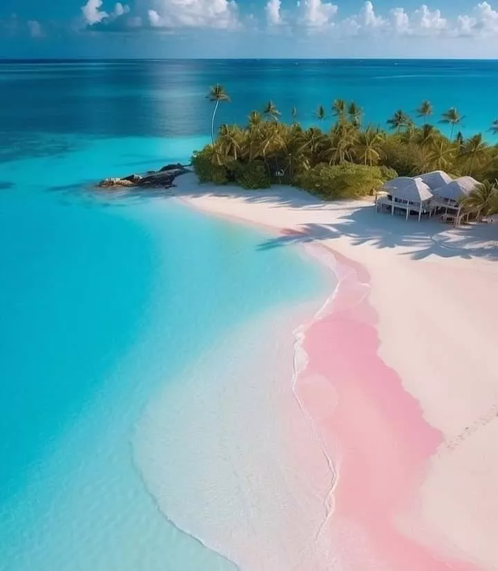 Pink beach, Bahamas 
